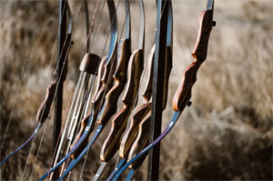Southwest Archery Tigershark Takedown Recurve Bow Review